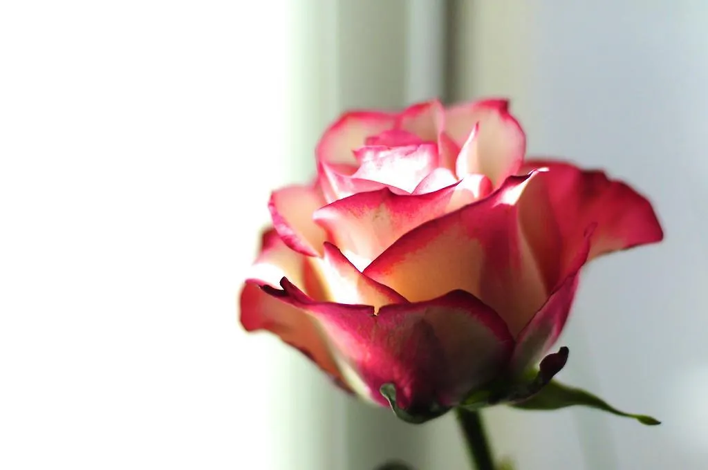 Bed and Breakfast B&B Val Des Roses Μπριζ